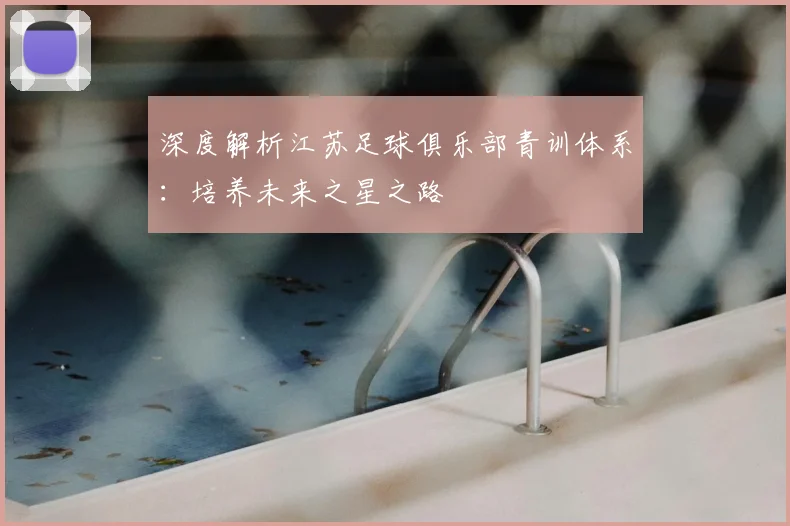 深度解析江苏足球俱乐部青训体系：培养未来之星之路
