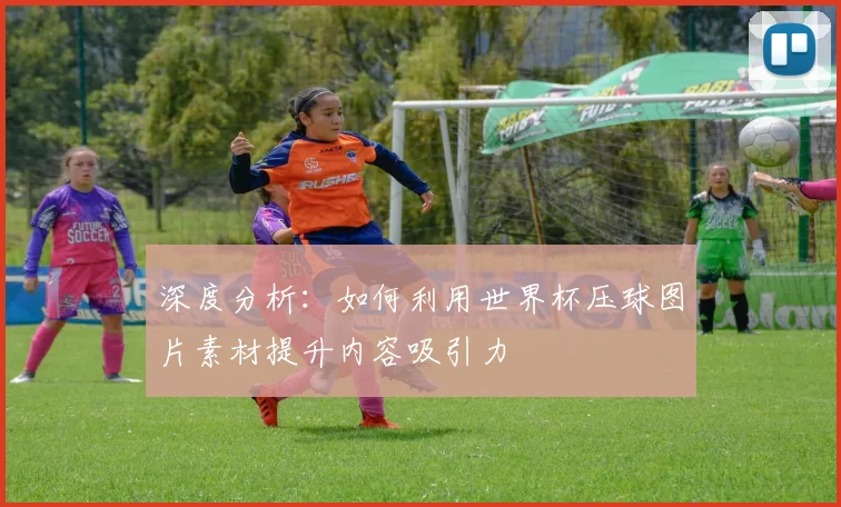 深度分析：如何利用世界杯压球图片素材提升内容吸引力