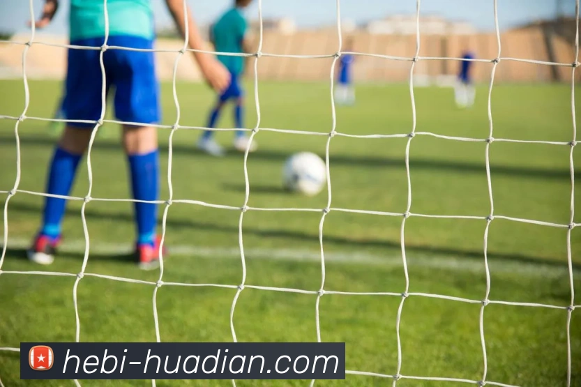 App Interface Preview